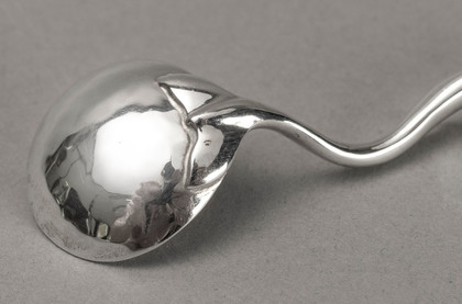 Sarah Jones Sterling Silver Dolphin Salt Spoon